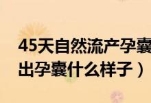 45天自然流產(chǎn)孕囊是什么樣的（42天流產(chǎn)排出孕囊什么樣子）