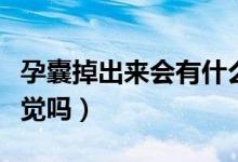 孕囊掉出來(lái)會(huì)有什么感覺(jué)（孕囊掉出來(lái)會(huì)有感覺(jué)嗎）