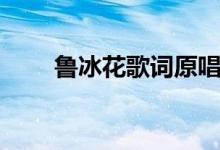 魯冰花歌詞原唱（魯冰花完整歌詞）