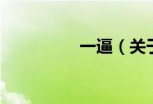 一逼（關(guān)于一逼的介紹）