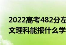 2022高考482分左右能上哪些大學(xué)（新高考文理科能報(bào)什么學(xué)校）