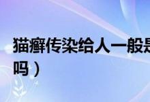 貓癬傳染給人一般是哪些部位（貓癬會傳染人嗎）