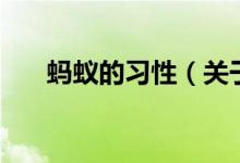 螞蟻的習(xí)性（關(guān)于螞蟻的習(xí)性的介紹）