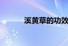 溪黃草的功效（溪黃草的特征）