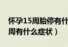 懷孕15周胎停有什么癥狀或征兆嗎（懷孕15周有什么癥狀）
