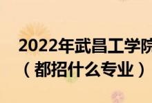 2022年武昌工學(xué)院各省招生計(jì)劃及招生人數(shù)（都招什么專業(yè)）