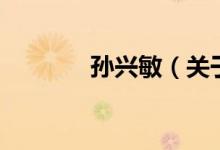 孫興敏（關(guān)于孫興敏的介紹）