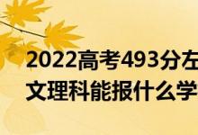 2022高考493分左右能上哪些大學(xué)（新高考文理科能報什么學(xué)校）