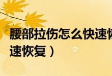 腰部拉傷怎么快速恢復動作（腰部拉傷怎么快速恢復）