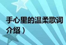 手心里的溫柔歌詞（關(guān)于手心里的溫柔歌詞的介紹）