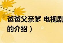 爸爸父親爹 電視?。P(guān)于爸爸父親爹 電視劇的介紹）