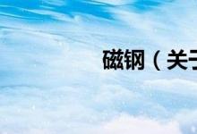 磁鋼（關(guān)于磁鋼的介紹）