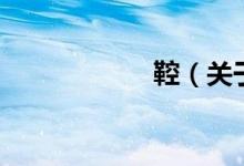 鞚（關于鞚的介紹）