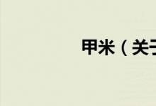 甲米（關(guān)于甲米的介紹）
