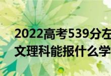 2022高考539分左右能上哪些大學(xué)（新高考文理科能報什么學(xué)校）