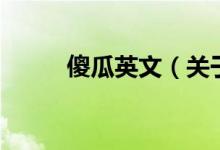 傻瓜英文（關(guān)于傻瓜英文的介紹）