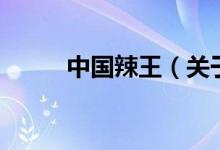 中國(guó)辣王（關(guān)于中國(guó)辣王的介紹）