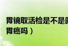 胃鏡取活檢是不是就是胃癌（胃鏡做活檢就是胃癌嗎）