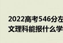 2022高考546分左右能上哪些大學(xué)（新高考文理科能報(bào)什么學(xué)校）
