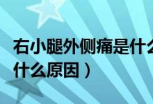 右小腿外側(cè)痛是什么原因(右小腿外側(cè)疼痛是什么原因)
