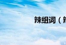 辣組詞（辣組詞有什么）