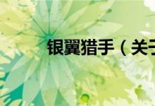 銀翼獵手（關(guān)于銀翼獵手的介紹）