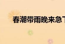春潮帶雨晚來急下一句（原文及翻譯）