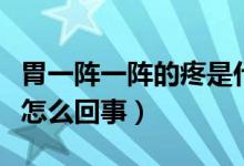 胃一陣一陣的疼是什么情況（胃一陣一陣的疼怎么回事）