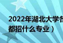 2022年湖北大學各省招生計劃及招生人數(shù)（都招什么專業(yè)）