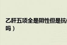 乙肝五項(xiàng)全是陰性但是抗體有加號(hào)（乙肝五項(xiàng)全是陰性正常嗎）