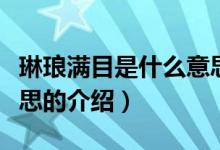 琳瑯滿目是什么意思（關于琳瑯滿目是什么意思的介紹）
