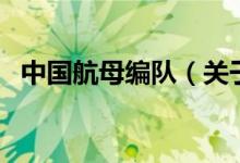 中國航母編隊(duì)（關(guān)于中國航母編隊(duì)的介紹）