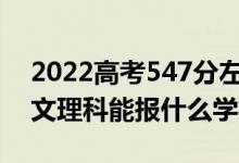 2022高考547分左右能上哪些大學(xué)（新高考文理科能報(bào)什么學(xué)校）