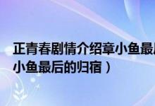 正青春劇情介紹章小魚最后和誰在一起了（正青春劇情及章小魚最后的歸宿）