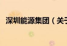 深圳能源集團（關(guān)于深圳能源集團的介紹）