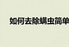 如何去除螨蟲簡單方法（如何去除螨蟲）