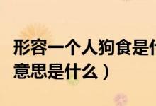 形容一個人狗食是什么意思（形容一個人狗食意思是什么）