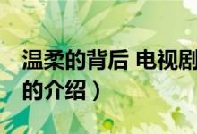 溫柔的背后 電視劇（關(guān)于溫柔的背后 電視劇的介紹）