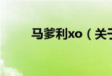 馬爹利xo(關(guān)于馬爹利xo的介紹)