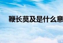 鞭長(zhǎng)莫及是什么意思（鞭長(zhǎng)莫及的含義）