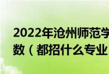 2022年滄州師范學(xué)院各省招生計劃及招生人數(shù)（都招什么專業(yè)）