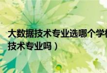 大數(shù)據(jù)技術(shù)專業(yè)選哪個學(xué)校（2022年高考550分能讀大數(shù)據(jù)技術(shù)專業(yè)嗎）