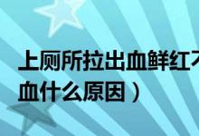 上廁所拉出血鮮紅不痛會自愈嗎（上廁所拉出血什么原因）