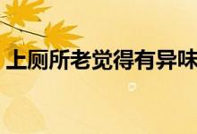 上廁所老覺得有異味（下面異味重什么原因）