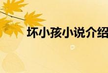 壞小孩小說(shuō)介紹（壞小孩小說(shuō)簡(jiǎn)介）
