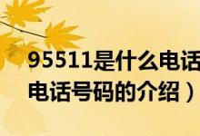 95511是什么電話號(hào)碼（關(guān)于95511是什么電話號(hào)碼的介紹）