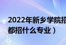 2022年新鄉(xiāng)學(xué)院招生計劃及招生人數(shù)(各省都招什么專業(yè))