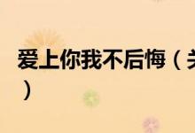 愛上你我不后悔(關(guān)于愛上你我不后悔的介紹)