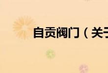 自貢閥門（關(guān)于自貢閥門的介紹）