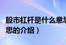 股市杠桿是什么意思（關(guān)于股市杠桿是什么意思的介紹）